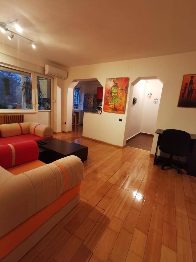 Comfy & Pleasant Apartment 10 Min Walk To Downtown Тімішоара Екстер'єр фото
