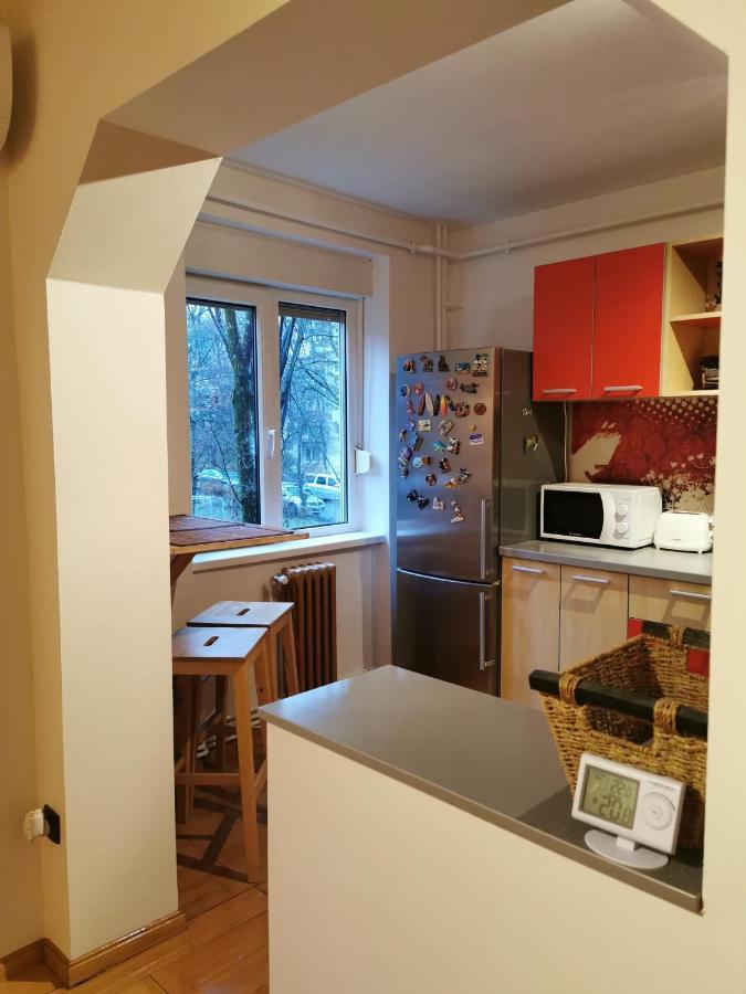 Comfy & Pleasant Apartment 10 Min Walk To Downtown Тімішоара Екстер'єр фото