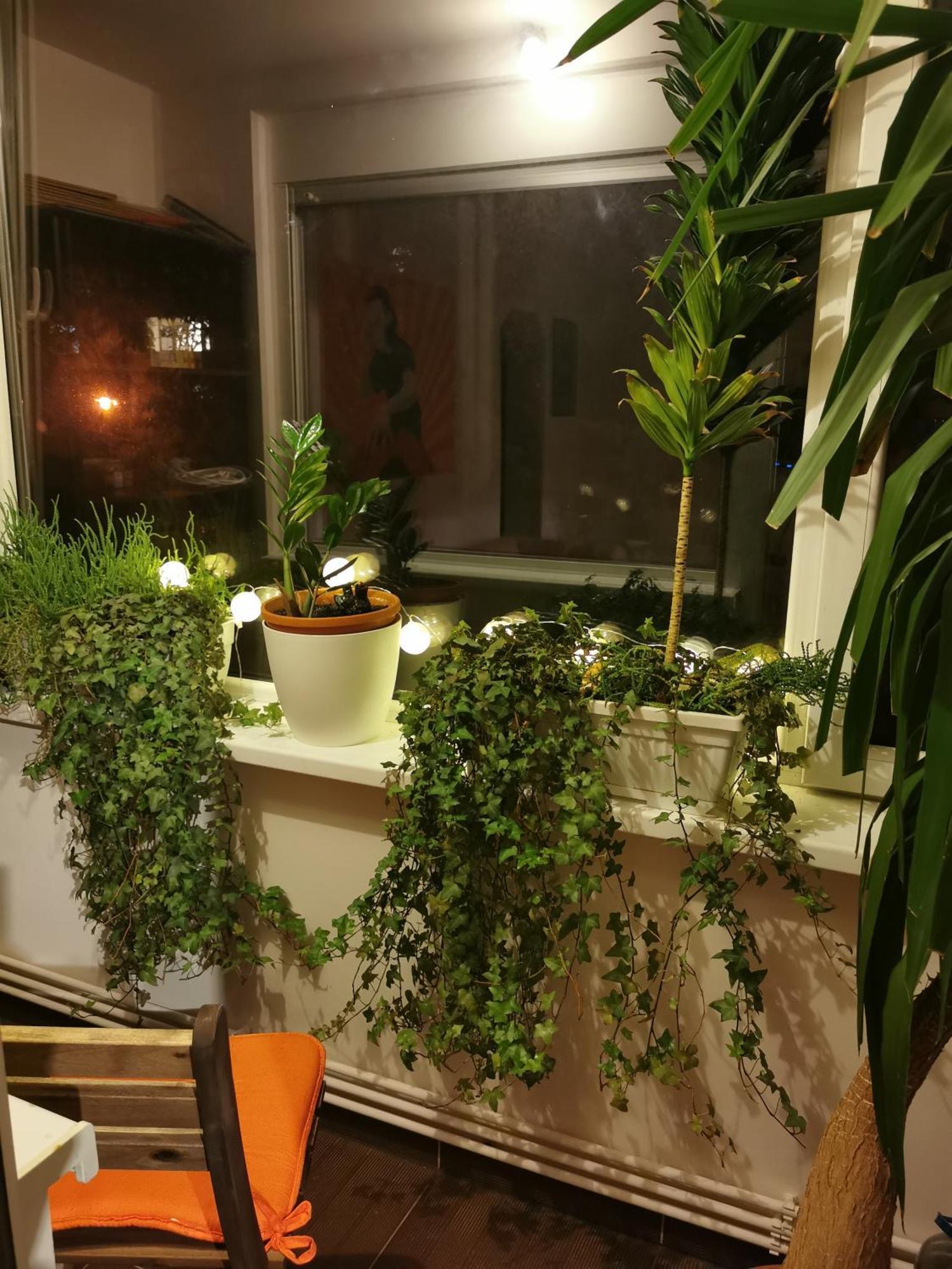Comfy & Pleasant Apartment 10 Min Walk To Downtown Тімішоара Екстер'єр фото