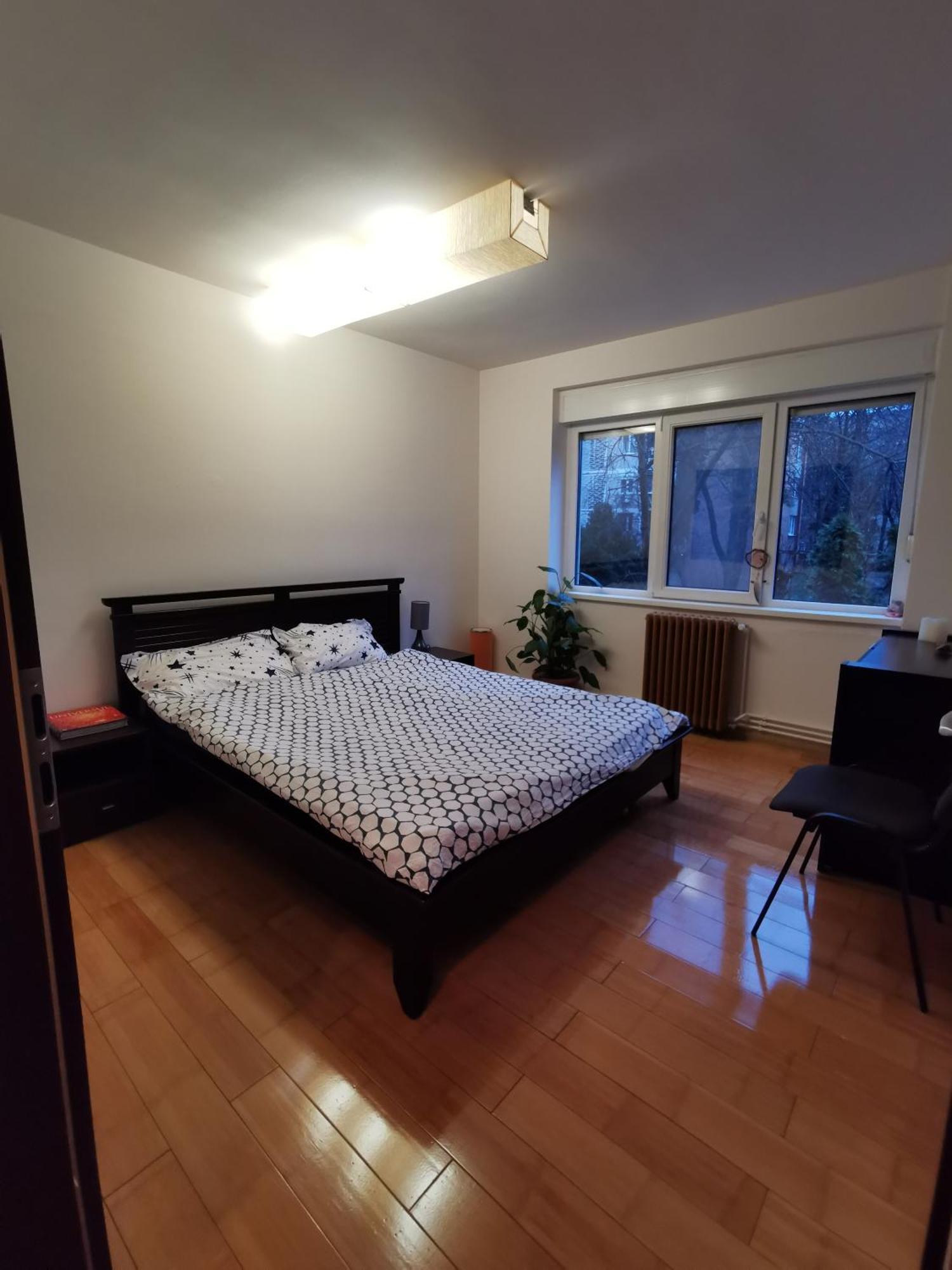 Comfy & Pleasant Apartment 10 Min Walk To Downtown Тімішоара Екстер'єр фото